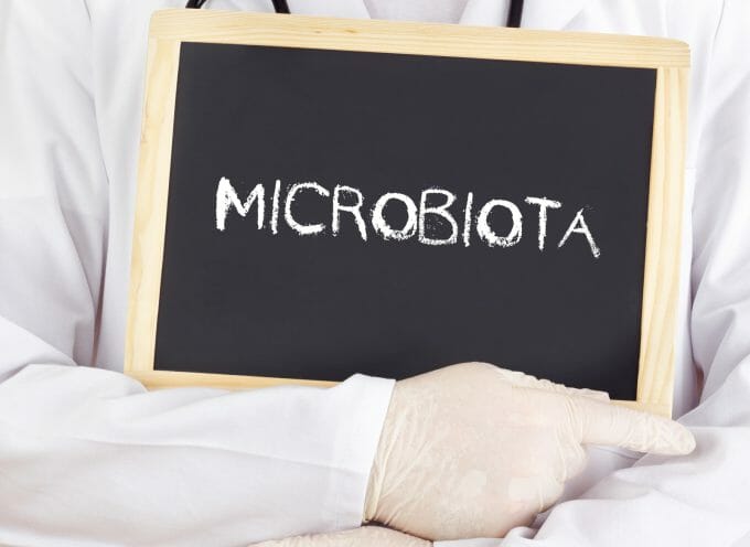 Microbiota Intestinale Umano